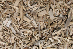 biomass boilers Adabroc